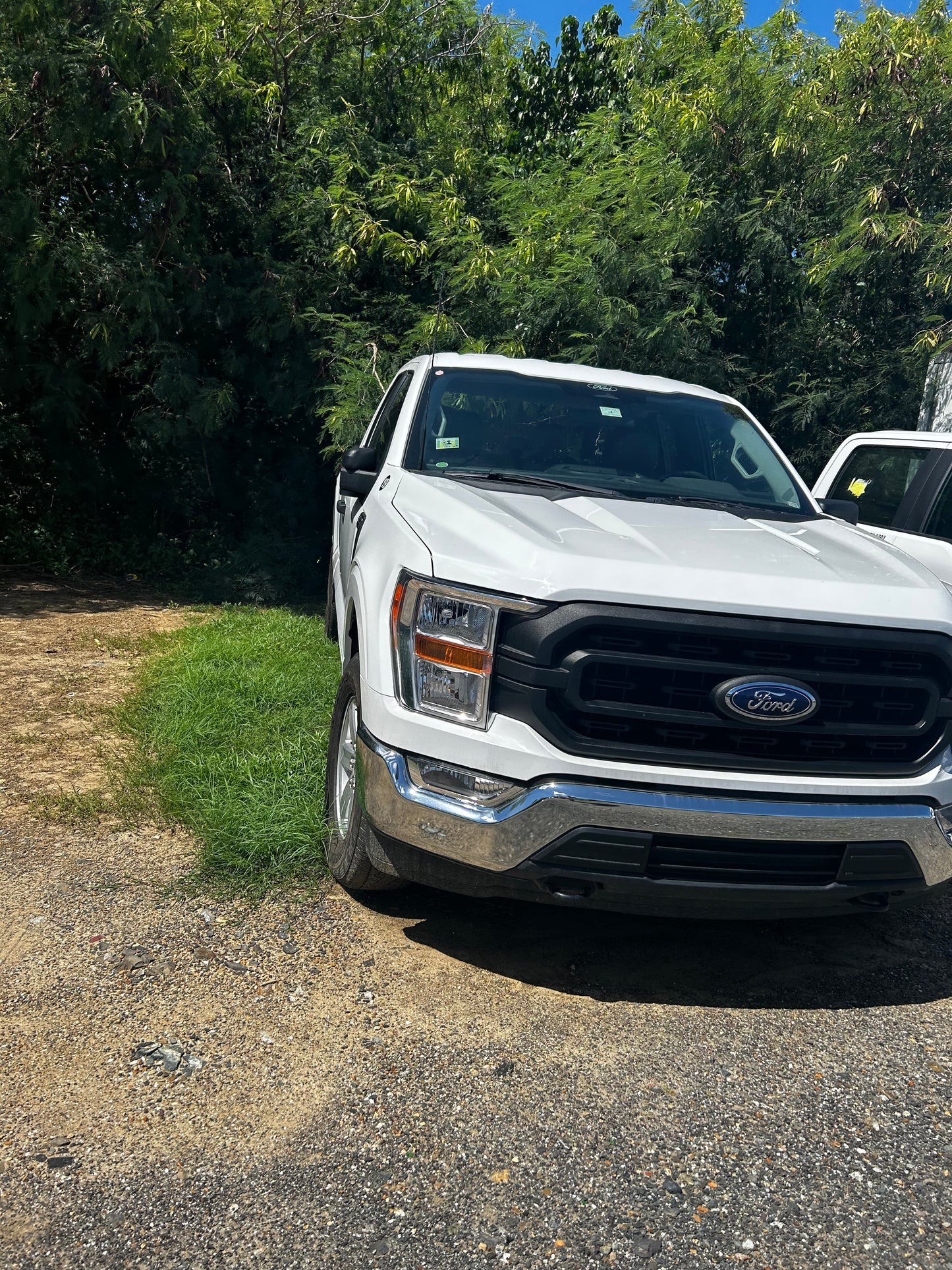 Ford 150 Truck