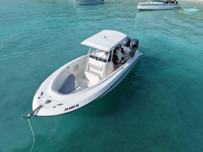 28' Hydrasport 4-7 hours (7 passengers max)