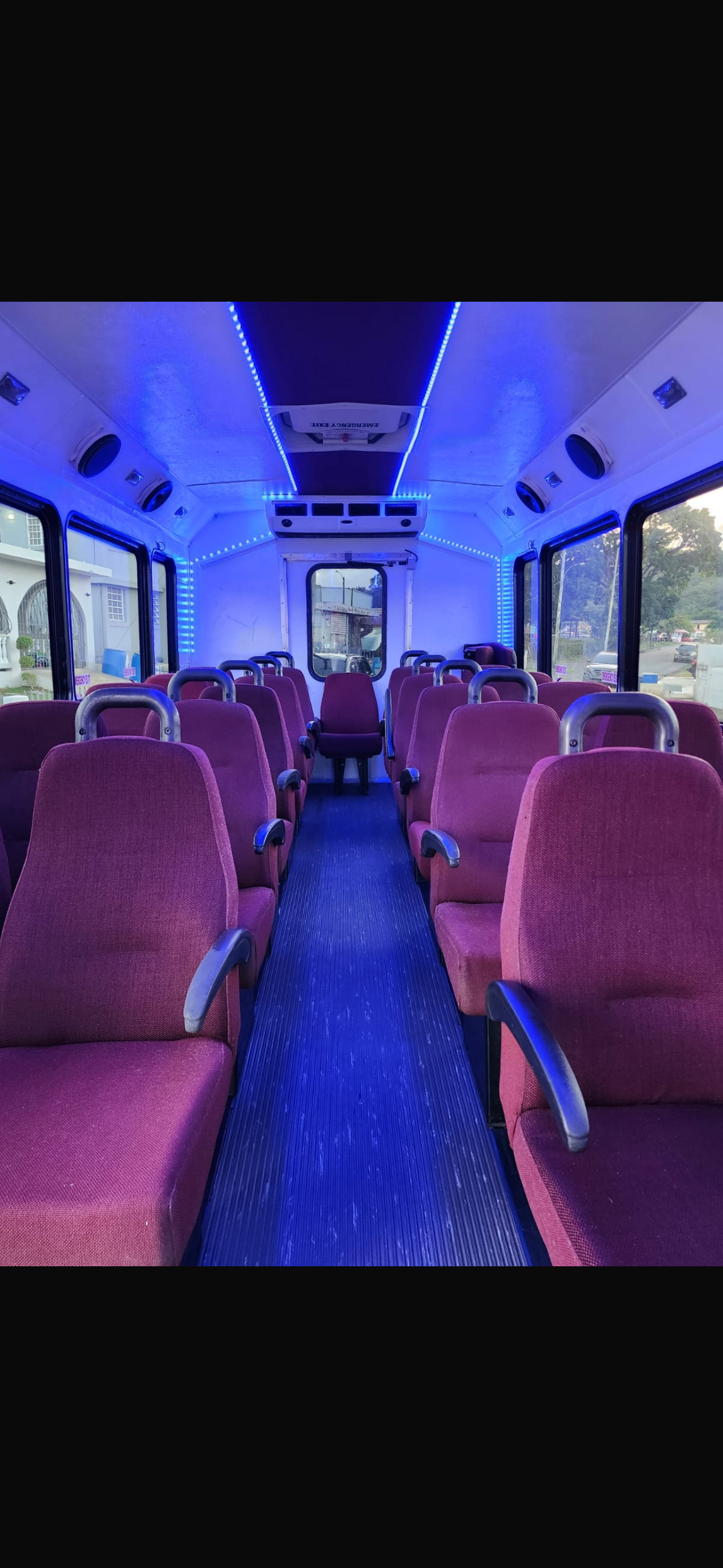 VIP Party Bus (30 passengers)