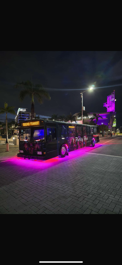 VIP Party Bus (30 passengers)