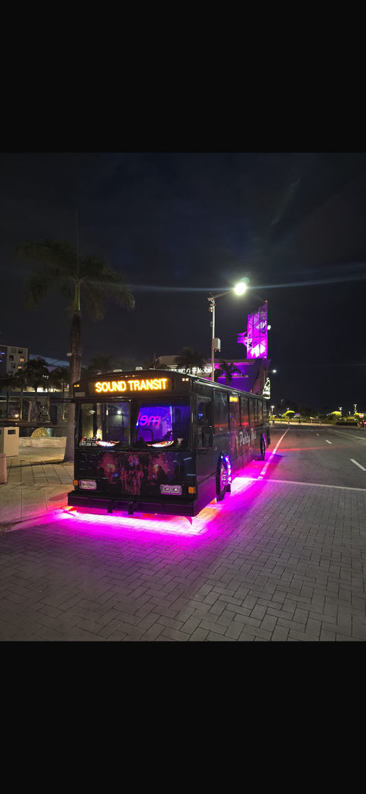 VIP Party Bus (30 passengers)