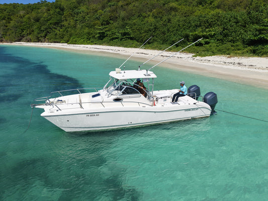 26' World Cat (6 Passenger Max)