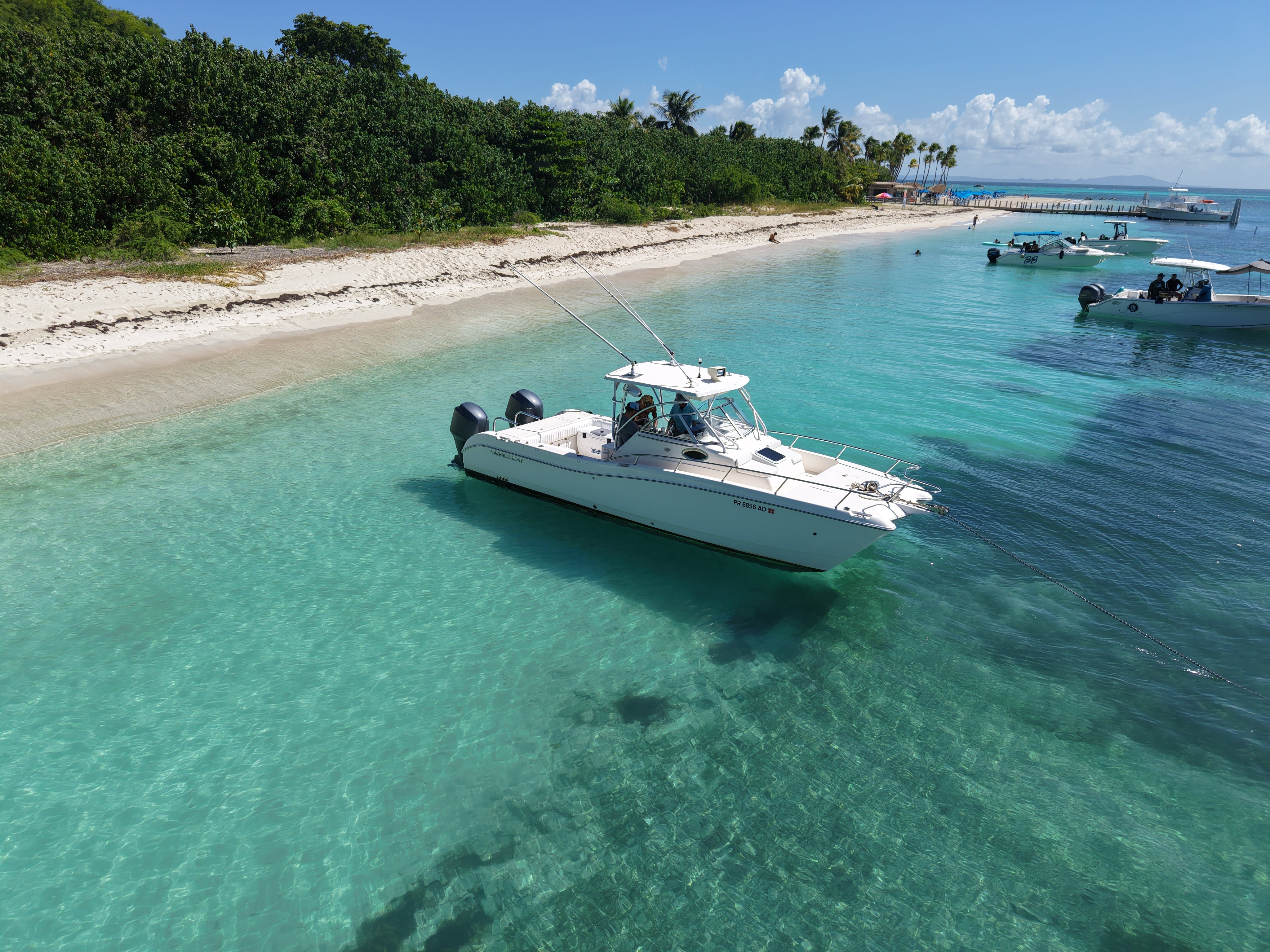 26' World Cat (6 Passenger Max) – puertoricoboatcharters