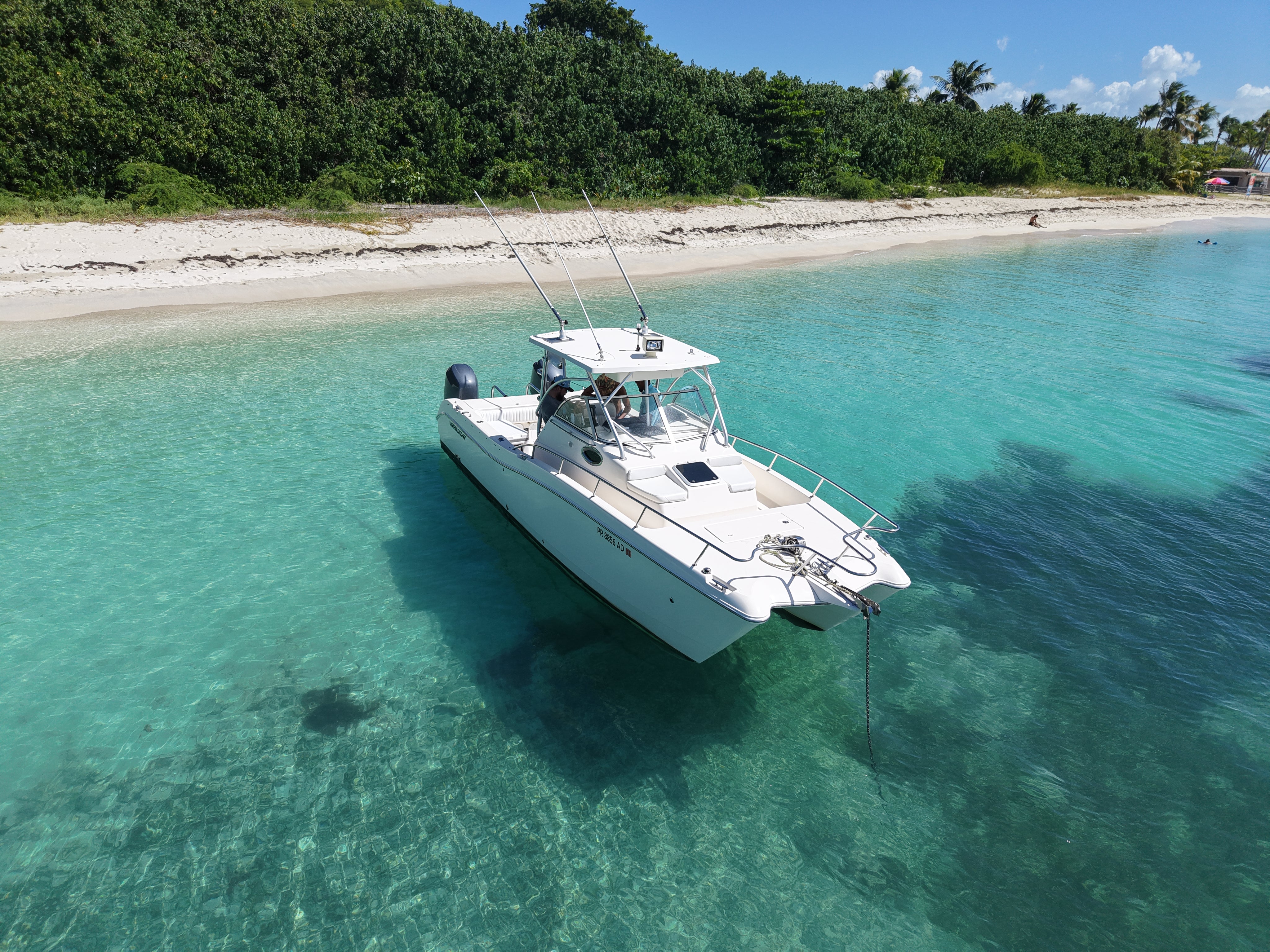 26' World Cat (6 Passenger Max) – puertoricoboatcharters