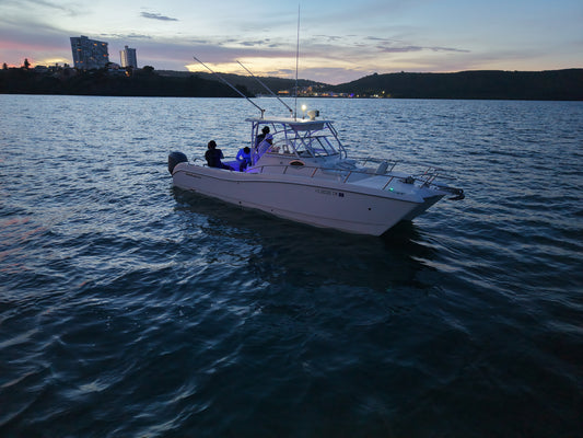 26' World Cat (6 Passenger Max)