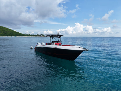 28' Hydrasport (6 passengers max)