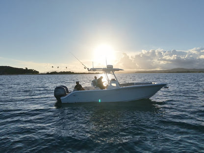 27' Seafox (Palmas Del Mar) (8 passengers max)