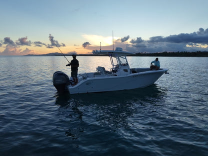 27' Seafox (Palmas Del Mar) (8 passengers max)