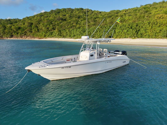 33' Boston Whaler 4-7 hours (10 passengers max)