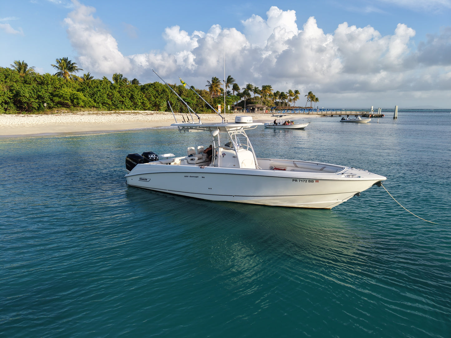 33' Boston Whaler 4-7 hours (10 passengers max)