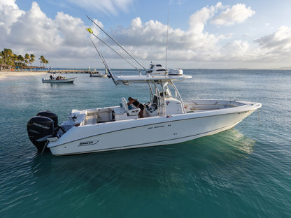 33' Boston Whaler 4-7 hours (10 passengers max)