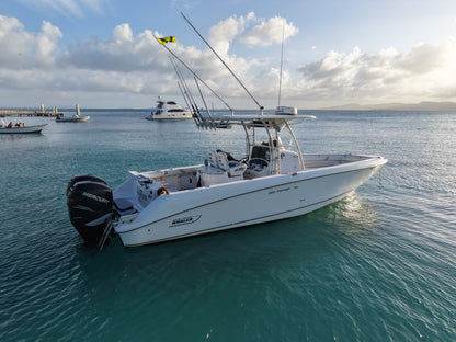 33' Boston Whaler 4-7 hours (10 passengers max)