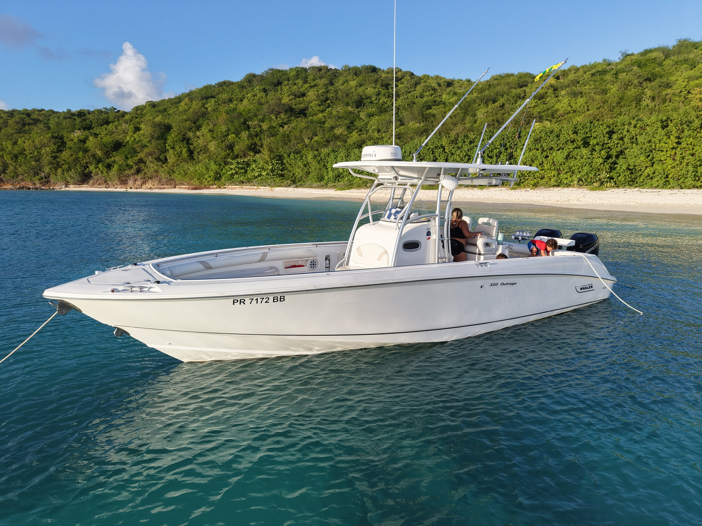 33' Boston Whaler 4-7 hours (10 passengers max)