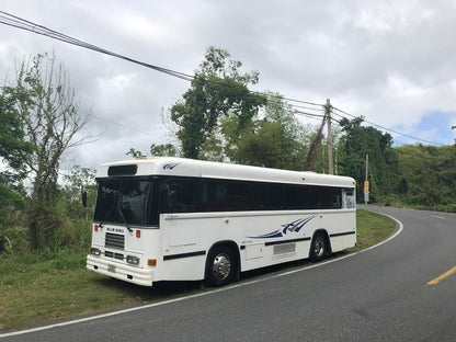 Blue Bird Party Bus