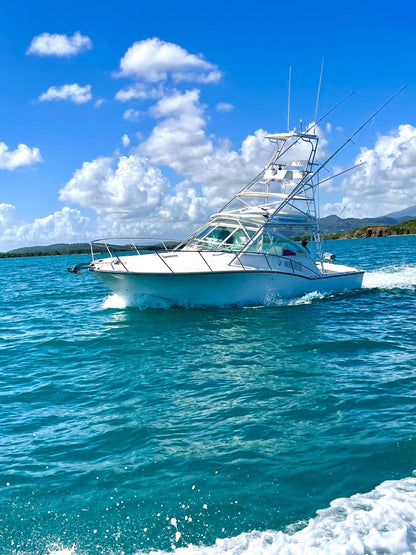 36' Carolina Classic (6 passengers max)